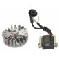 Flywheel coil kit brushcutter blower 330 Euro1 KASEI 1E36F-2.3 462572