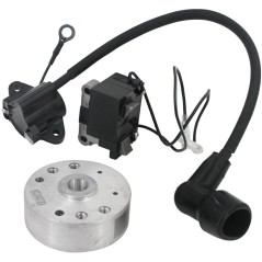 Kit volant d'inertie bobine électronique compatible moteur KASEI blower EB-420-E | Newgardenstore.eu