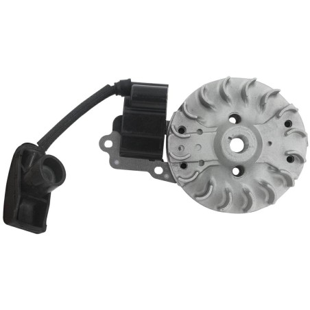 Flywheel kit electronic coil compatible engine KASEI blower EBV230E | Newgardenstore.eu