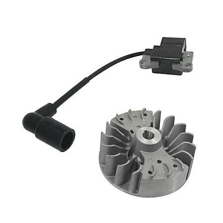 Flywheel coil kit KASEI blower engine EBV260-3E EBV260-3E | Newgardenstore.eu