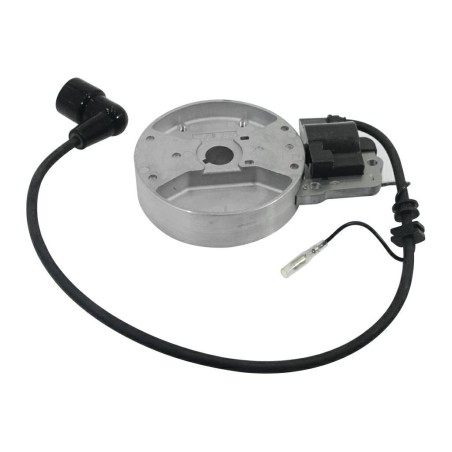 Flywheel kit coil blower EB800 mower 3WFB-30 KASEI EB-800-E.1.9 | Newgardenstore.eu