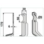 Motocultor hoja de azada compatible 350-586 BERTOLINI Sx 170mm