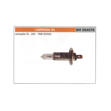 Lampada H1 - 24V - 70W (IODIO) codice 004076 | Newgardenstore.eu