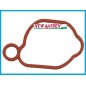 Membrana guarnizione filtro rasaerba BRIGGS & STRATTON 222097 799580