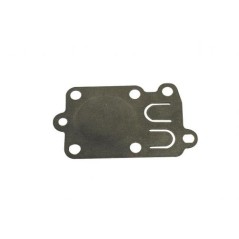 BRIGGS&STRATTON 08 - 09 - 13 Motor Membrane horizontal