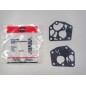 Kit membrane guarnizioni carburatore motore SPRINT CLASSIC BRIGGS&STRATTON