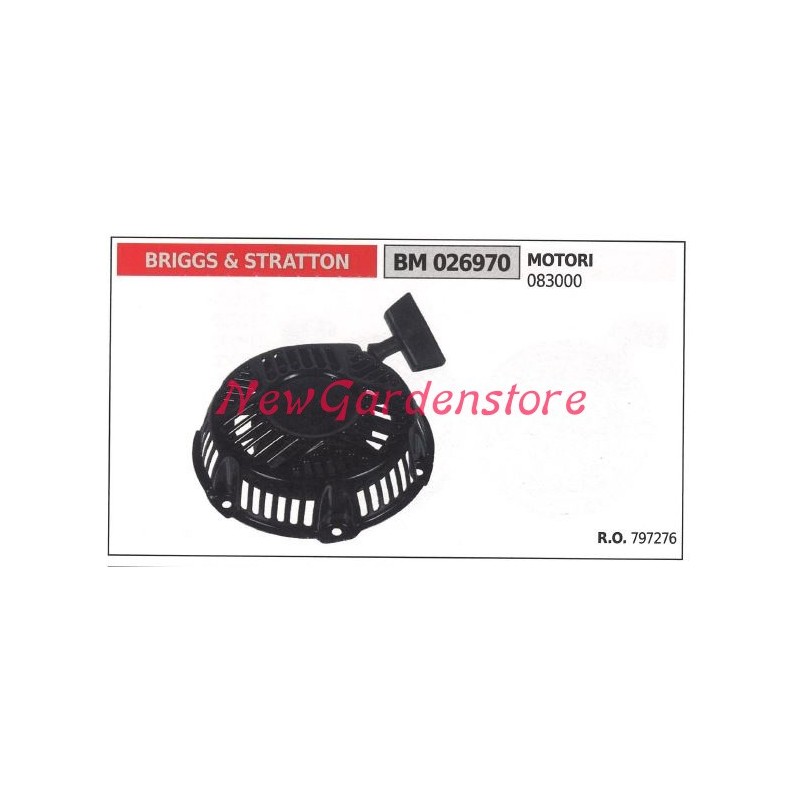 Démarrage du moteur de la tondeuse à gazon BRIGGS & STRATTON 026970