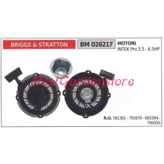 Messa in moto BRIGGS & STRATTON motore tagliaerba tosaerba rasaerba 026217