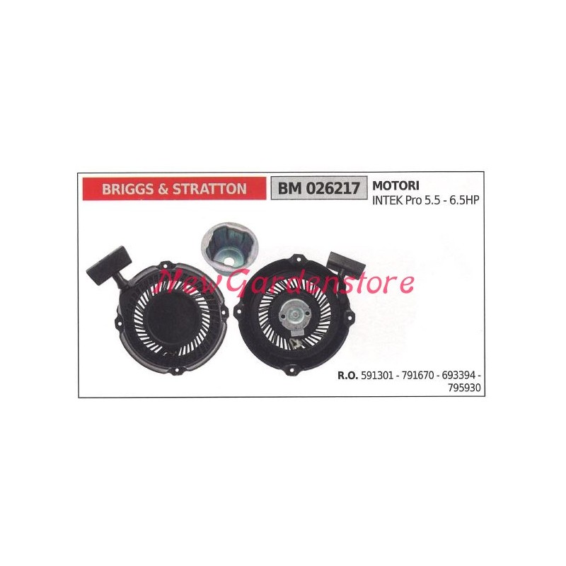 Démarrage BRIGGS & STRATTON tondeuse à gazon moteur tondeuse à gazon 026217