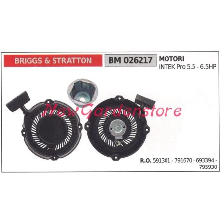 Messa in moto BRIGGS & STRATTON motore tagliaerba tosaerba rasaerba 026217 | Newgardenstore.eu