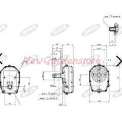 Pompe à engrenage groupe 2 type rapport 1:3 mâle AMA 04639 | Newgardenstore.eu