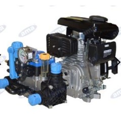 2-diaphragm motor pump with AXO 4 for irrigation 91561 | Newgardenstore.eu
