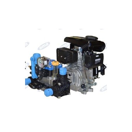 2-diaphragm motor pump with AXO 4 for irrigation 91561 | Newgardenstore.eu