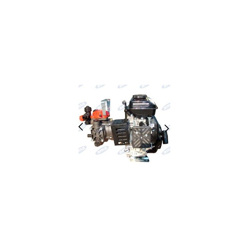 Motor pump AR 252 with internal combustion engine for spraying 73284