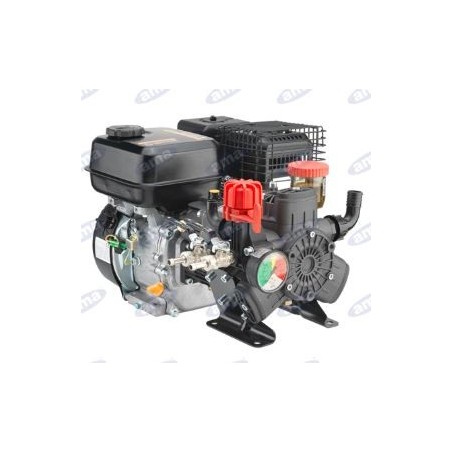 Motor-pump AR 403 with internal combustion engine for spraying 92888 | Newgardenstore.eu