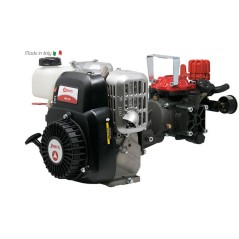 ZANETTI ZEN25i Benzinmotorpumpe zum Spritzen mit ANNOVI REVERBERI AR252 Pumpe | Newgardenstore.eu