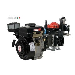 ZANETTI PX30i diesel motor pump with AR30 pump | Newgardenstore.eu