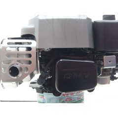 BRIGGS&STRATTON 850 schweres Schwungrad Motor komplett Rasentraktor 190cc 22x60 | Newgardenstore.eu