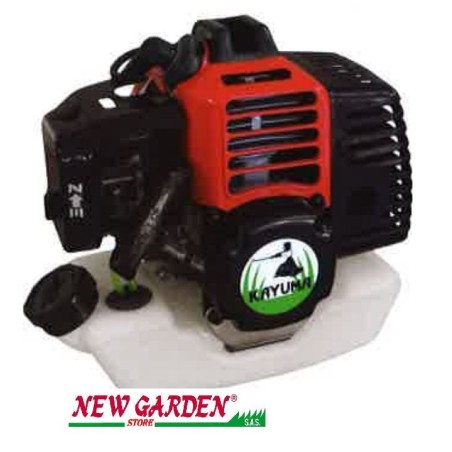 Moteur 2 temps complet Taille-haie 2 temps 43cc embrayage 76mm KAYUMA | Newgardenstore.eu