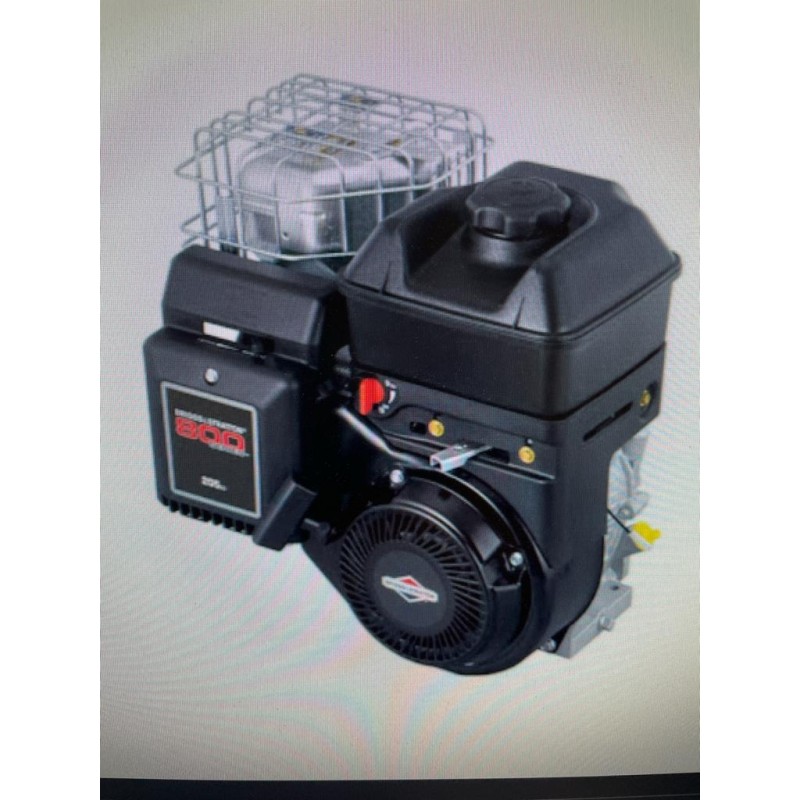 Complete 4stroke engine BRIGGS & STRATTON 800 twinshaft heavy dut...