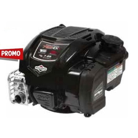 Complete BRIGGS & STRATTON petrol engine flywheel 775 professional 25x80 | Newgardenstore.eu