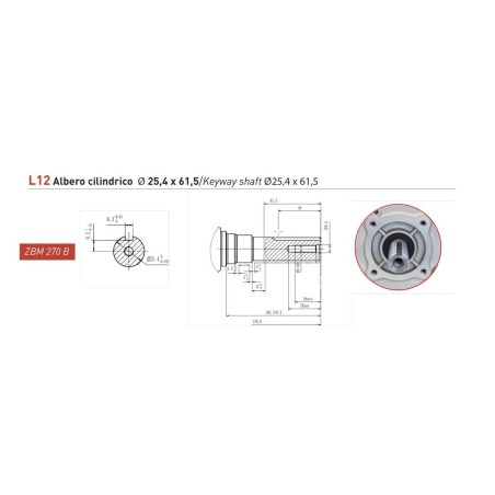 Moteur à essence complet ZANETTI ZBM270BL12 272 cc arbre cylindrique Ø 25.4 COMPACT