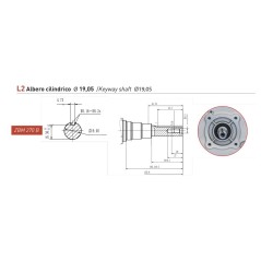 Complete petrol engine ZANETTI ZBM270BL2 272 cc cylindrical shaft d 19.5 COMPACT