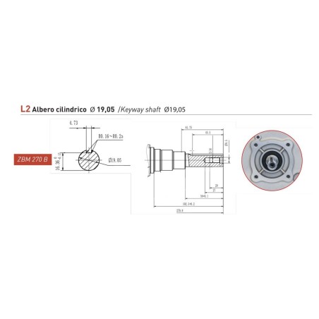 Complete petrol engine ZANETTI ZBM270BL2 272 cc cylindrical shaft d 19.5 COMPACT