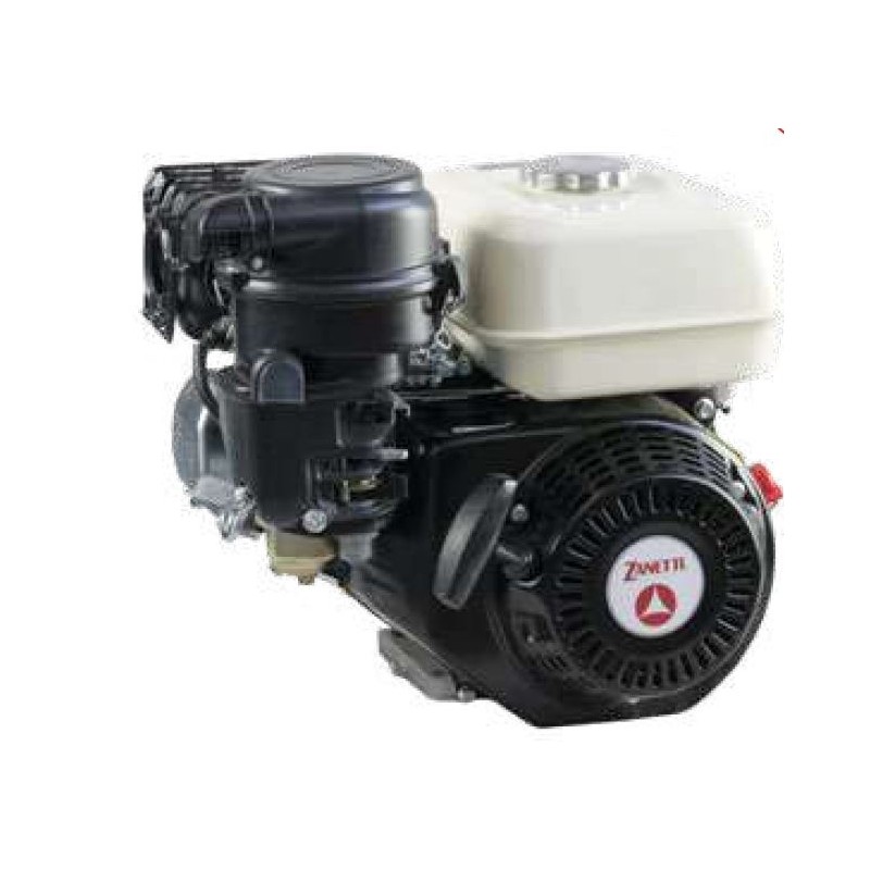 Complete gasoline engine ZBM 210 L2V ZANETTI Euro 5 cyl. 19.05 mm 208 cc