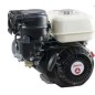 Motor de gasolina completo ZBM 210 L2V ZANETTI Euro 5 cil. 19,05 mm 208 cc