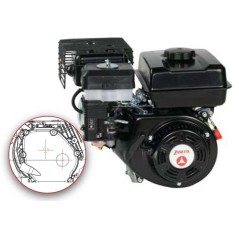 Moteur à essence complet ZBMK210L11 ZANETTI arbre à cardan horizontal sur arbre à cames | Newgardenstore.eu