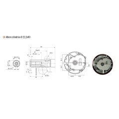 Motor gasolina completo ZBMV225L5E ZANETTI eje vertical arranque eléctrico | Newgardenstore.eu