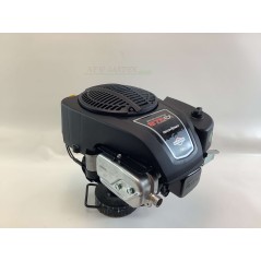 Motor completo BRIGGS&STRATTON 875 volante pesado sin depósito 22X80 190cc | Newgardenstore.eu