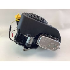 Moteur complet BRIGGS&STRATTON 875 volant lourd sans réservoir 22X80 190cc | Newgardenstore.eu