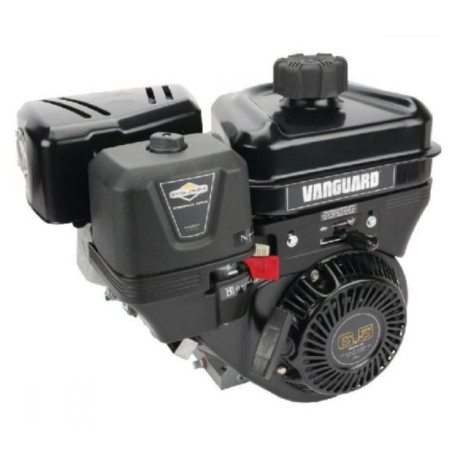 Complete BRIGGS & STRATTON VANGUARD engine cylindrical shaft 20 mm 205 cc | Newgardenstore.eu