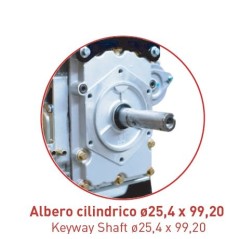 Motore completo diesel S400L10E ZANETTI cilindrico 25.4x99.20 avv. elettrico | Newgardenstore.eu