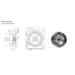 Motor diesel completo ZANETTI S510F2E 510 cc eje cónico 30 arranque eléctrico | Newgardenstore.eu