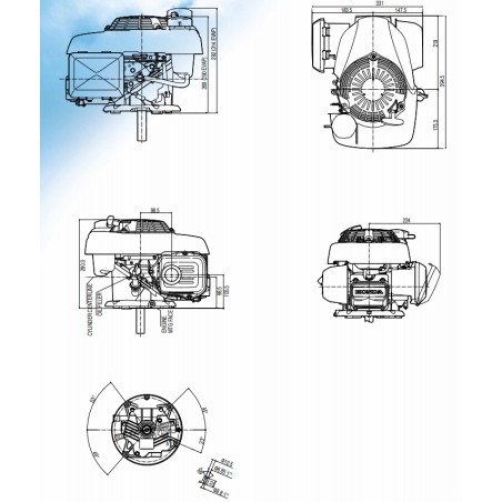 Kompletter Honda GCV160 Motor vertikale Welle 22x60 160cc Benzin Rücklaufstarter