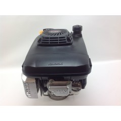 Motor completo KAWASAKI FJ180V 180cc eje vertical 25x80 con freno motor | Newgardenstore.eu