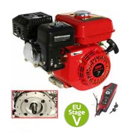 Motor gasolina completo LAUNTOP eje horizontal cónico 208cc 7 CV | Newgardenstore.eu