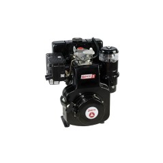 Kompletter Motor Motor Grubber konische Welle 23 Diesel ZANETTI S360C1M 359cc | Newgardenstore.eu