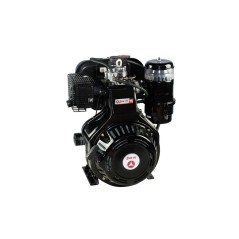 ZANETTI S450F1-EX conical shaft motor complete with electric start | Newgardenstore.eu