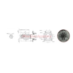 Motor completo con ZANETTI DIESEL ZDM86L3V motor cultivador cilíndrico de arranque manual. | Newgardenstore.eu