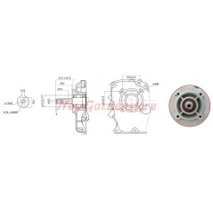 Complete ZANETTI DIESEL ZDX210L2 motor cultivator engine cylindrical manual start | Newgardenstore.eu