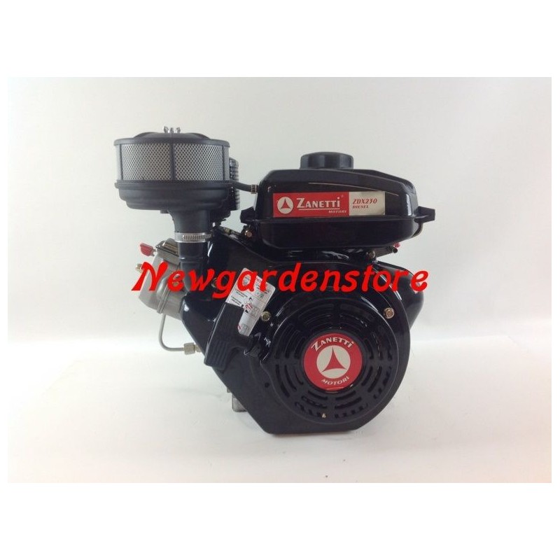 Complete ZANETTI DIESEL ZDX230L2 engine cylindrical manual start