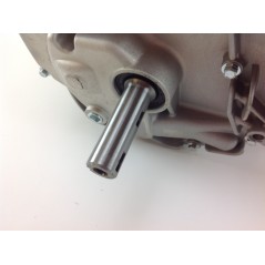 ORIGINAL 775 INSTART BRIGGS STRATTON 22x80 motor cortacésped de arranque a batería | Newgardenstore.eu