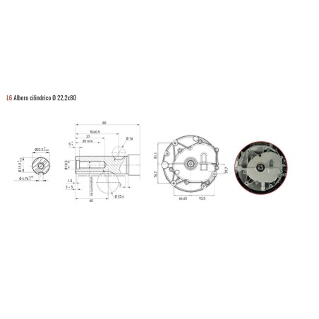 ZANETTI ZBMV200L6 196cc 4,8kW Welle 22x80 kompletter Rasenmähermotor