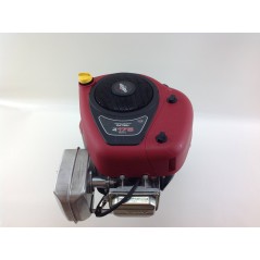 MOTOR COMPLETO BRIGGS & STRATTON 17,5 CV 500cc para tractor de césped con silenciador | Newgardenstore.eu