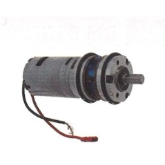 MAORI snow shaker pinion motor RIBOT - 018762