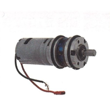 MAORI snow shaker pinion motor RIBOT - 018762 | Newgardenstore.eu